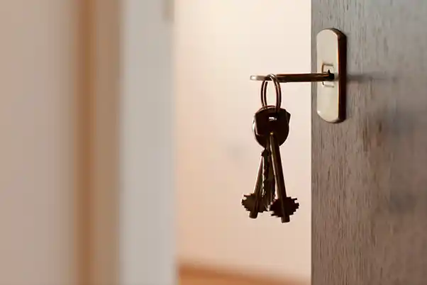 Shree Hanuman Properties