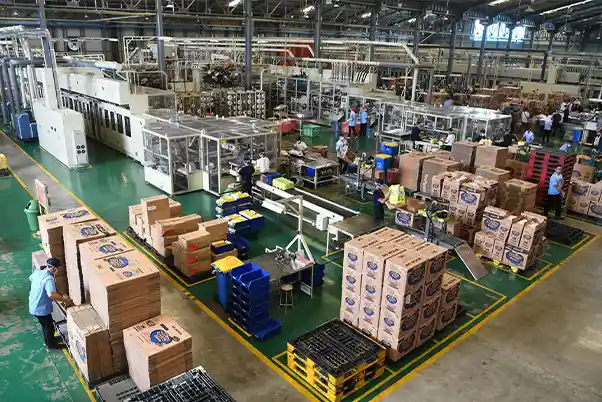 Shree Hanuman Properties